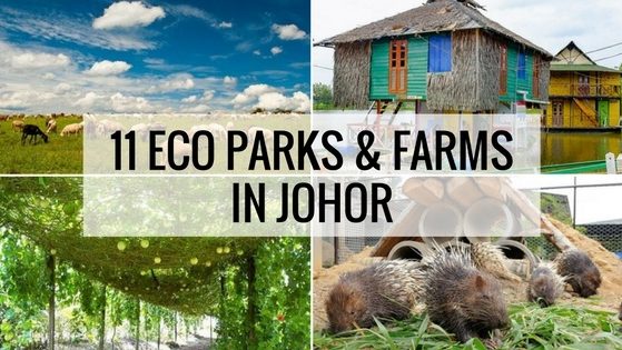 Top 11 Eco Parks & Farms In Johor (Perfect For Family Trip)