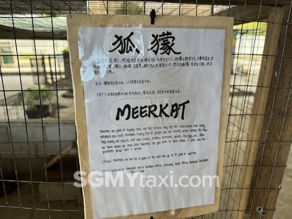 Desaru Alpaca Animal Farm_meerkat info