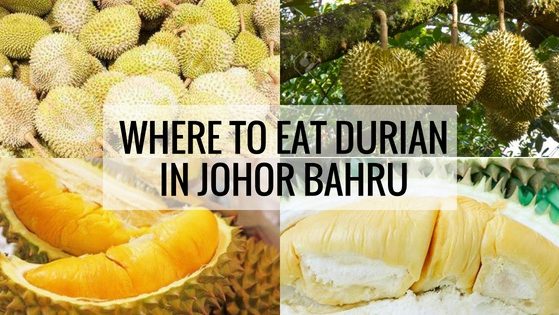 Durian Stalls & Farms In Johor Bahru (JB)