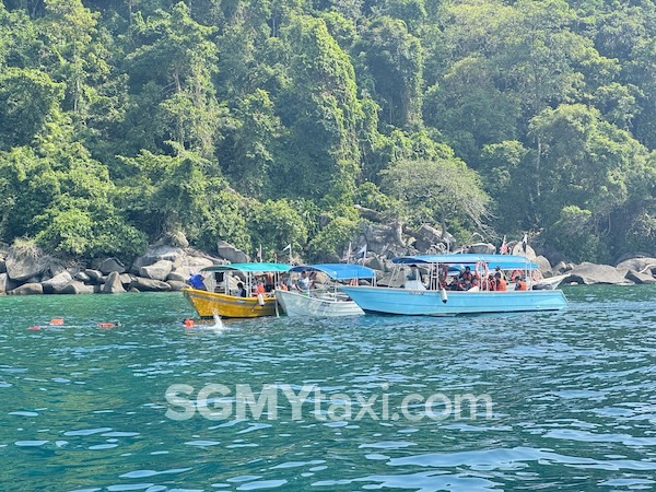 Tioman Snorkeling Trips