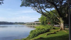 Lower Seletar Reservoir