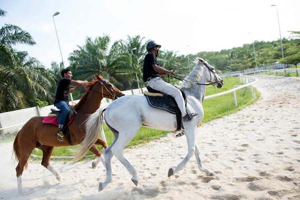 Horse rides at Sinar Eco Resort
