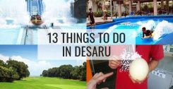 13 Things To Do In Desaru