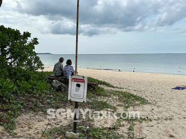 Westin Desaru Beach Jellyfish Alert Signboard