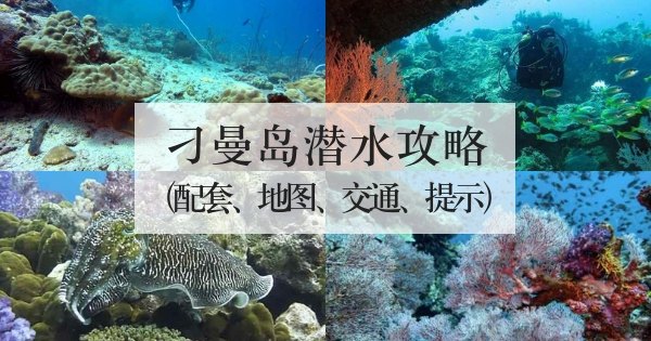 刁曼岛潜水攻略